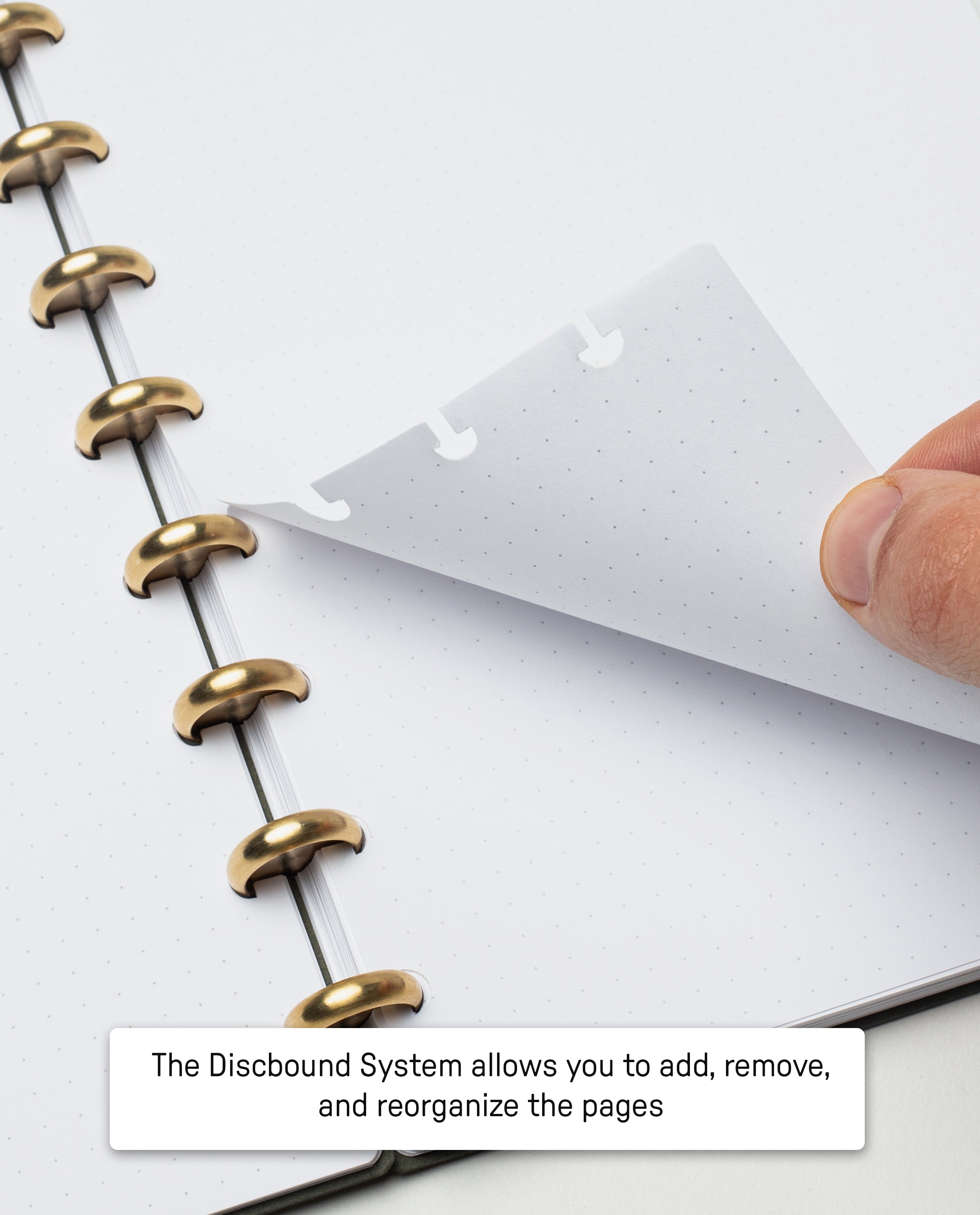 A hand lifts a dotted notebook page from gold disc rings, demonstrating the removable pages in the Discbound Heirloom Journal (Brown Leather – Standard 6″ x 8.5″). The caption below reads: The Discbound System lets you add, remove, and reorganize pages with ease.